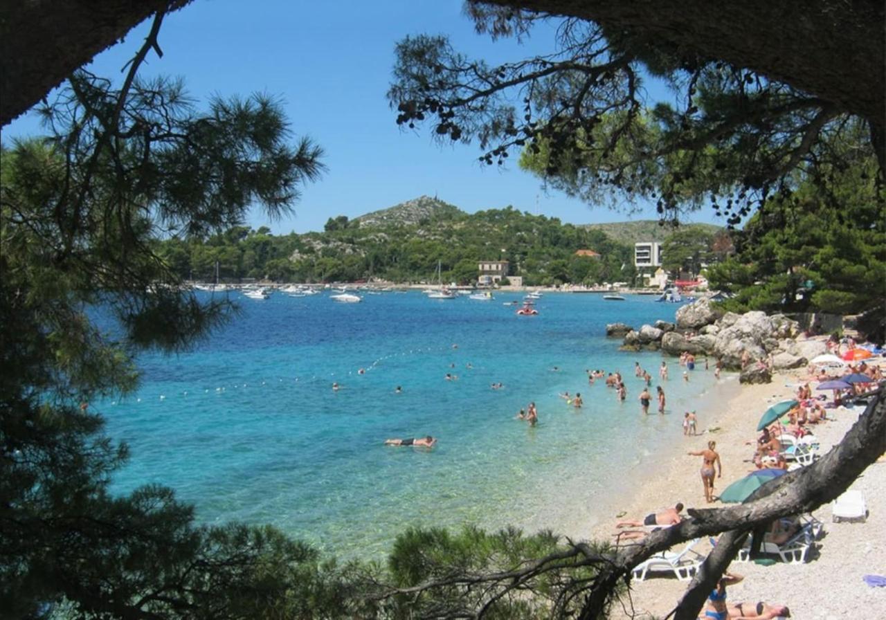 Apartment "The View" Near Dubrovnik Ivanica Εξωτερικό φωτογραφία